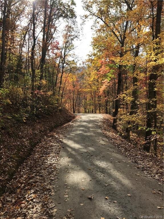 Property image 4 at 1540 Scarlett Ridge, Sylva, NC 28779