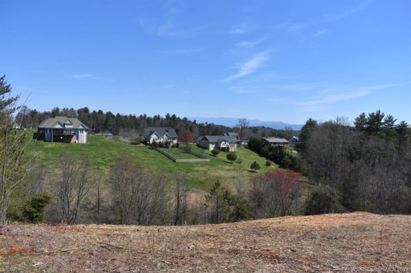 Property image 3 at 538 Sky Ridge Drive, Leicester, NC 28748