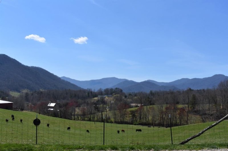 Property image 4 at 538 Sky Ridge Drive, Leicester, NC 28748