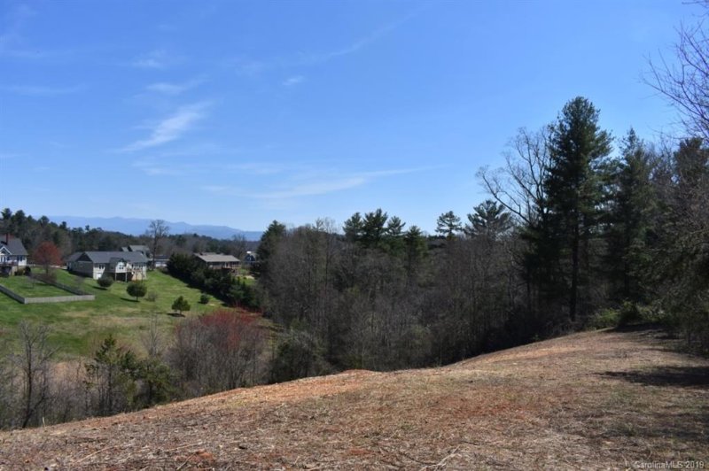 Property image 5 at 538 Sky Ridge Drive, Leicester, NC 28748