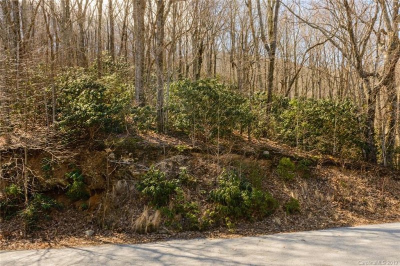 Property image 3 at 425 White Birch Court, Black Mountain, NC 28711