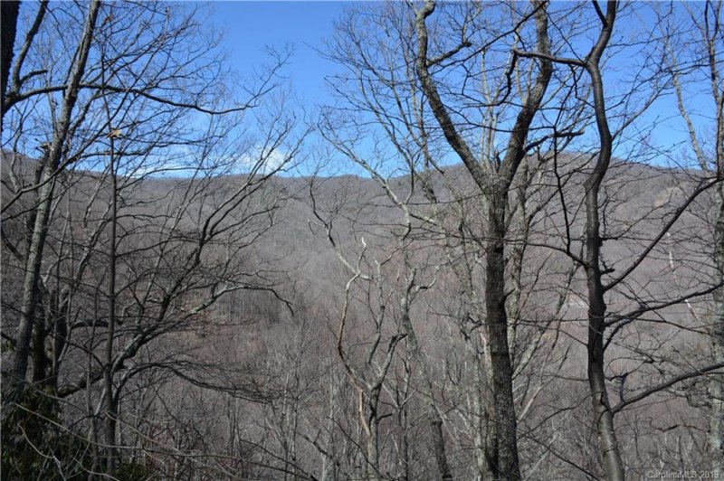 Property image 4 at 425 White Birch Court, Black Mountain, NC 28711