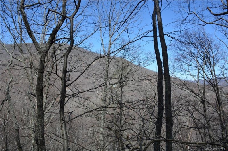Property image 5 at 425 White Birch Court, Black Mountain, NC 28711