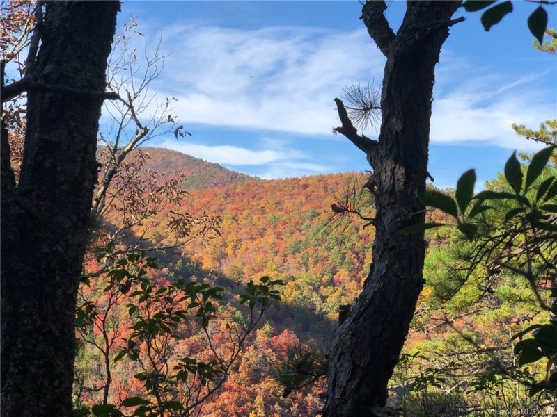 Property image 3 at 115 Davey Crockett Road, Fairview, NC 28730