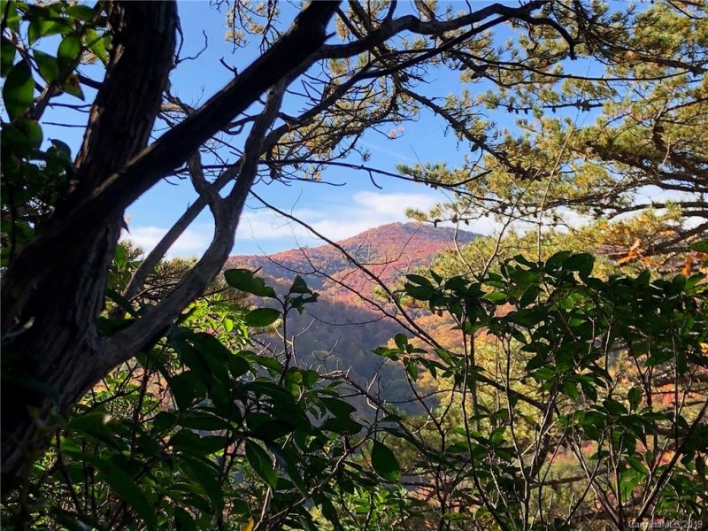 Property image 5 at 115 Davey Crockett Road, Fairview, NC 28730