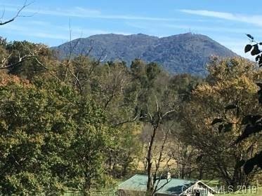 Property image 4 at 0 Coyote Hollow Road, Waynesville, NC 28785