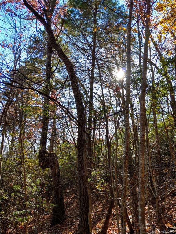 Property image 2 at Tbd Dogwood Circle, Penrose, NC 28766