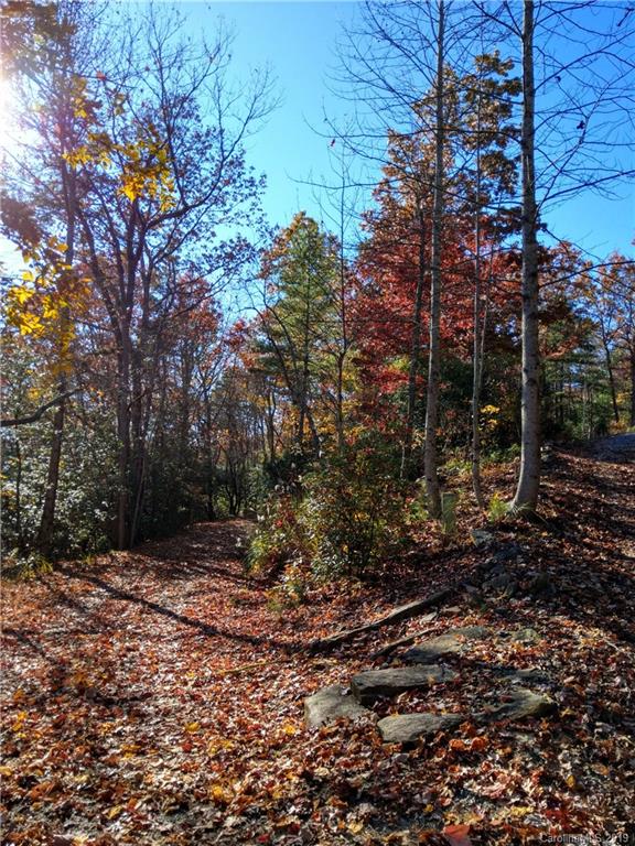 Property image 4 at Tbd Dogwood Circle, Penrose, NC 28766