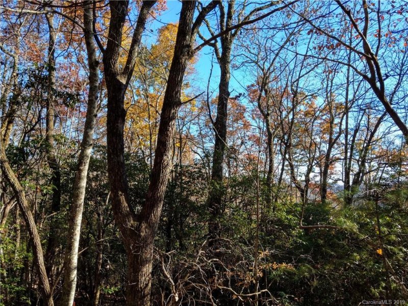 Property image 5 at Tbd Dogwood Circle, Penrose, NC 28766