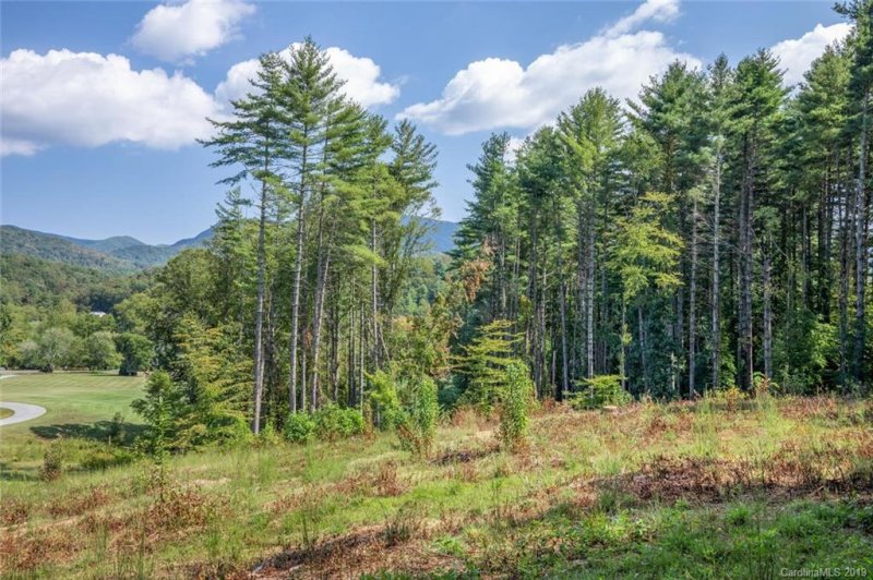 Property image 2 at 148 Olivia Trace Drive, Fletcher, NC 28732