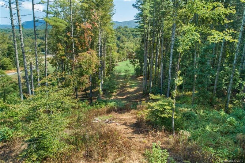 Property image 3 at 148 Olivia Trace Drive, Fletcher, NC 28732