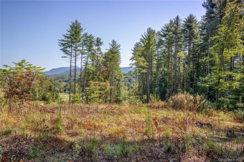 Property image 5 at 148 Olivia Trace Drive, Fletcher, NC 28732