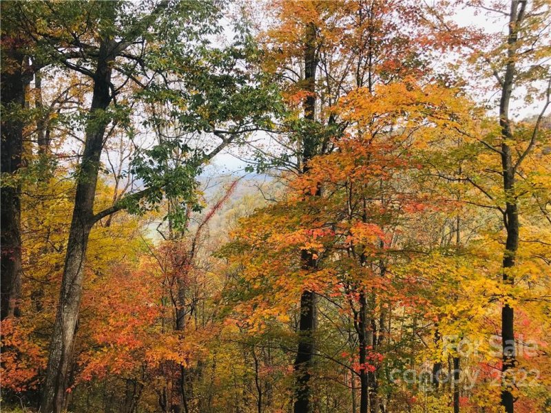 Property image 2 at 99999 Freemont Drive, Leicester, NC 28748