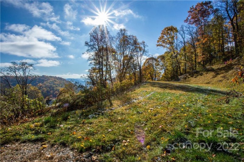 Property image 3 at 99999 Freemont Drive, Leicester, NC 28748