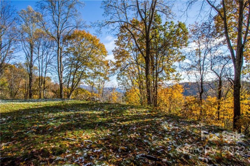 Property image 4 at 99999 Freemont Drive, Leicester, NC 28748