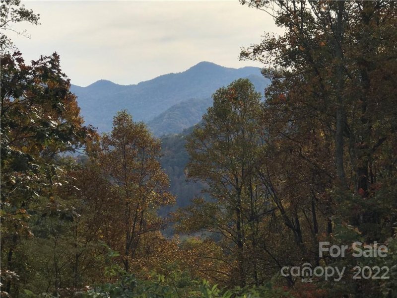 Property image 5 at 99999 Freemont Drive, Leicester, NC 28748