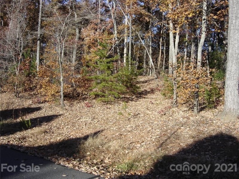 Property image 2 at 256 Mountain Springs Drive, Bostic, NC 28018