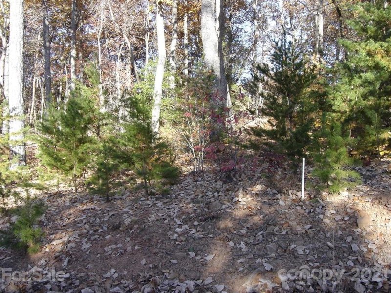 Property image 3 at 256 Mountain Springs Drive, Bostic, NC 28018