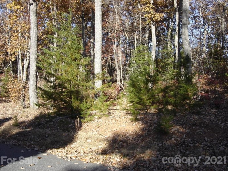 Property image 4 at 256 Mountain Springs Drive, Bostic, NC 28018