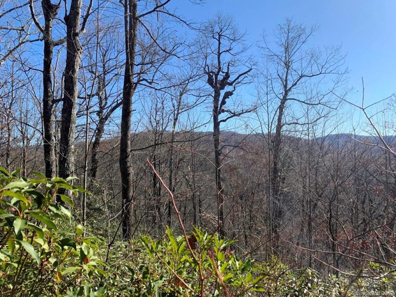 Property image 2 at Lot 34 Wood Fern Lane, Rosman, NC 28772