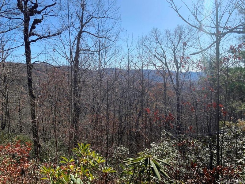 Property image 3 at Lot 34 Wood Fern Lane, Rosman, NC 28772
