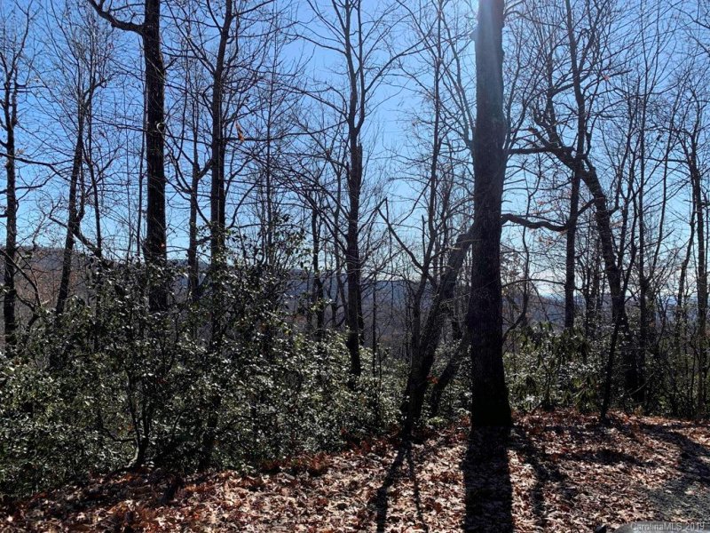 Property image 4 at Lot 34 Wood Fern Lane, Rosman, NC 28772