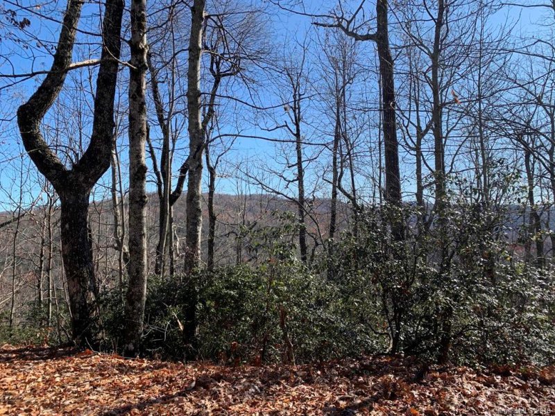 Property image 5 at Lot 34 Wood Fern Lane, Rosman, NC 28772