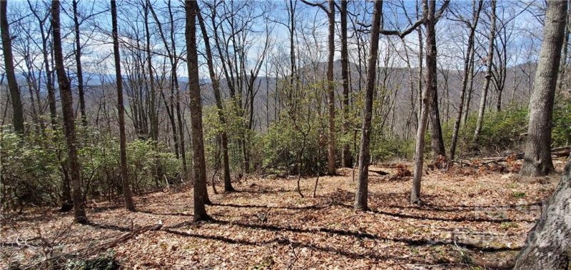 Property image 3 at 000 Sunset Falls Drive, Clyde, NC 28786