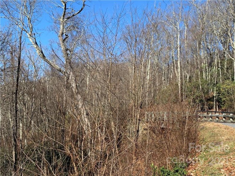 Property image 5 at 000 Sunset Falls Drive, Clyde, NC 28786