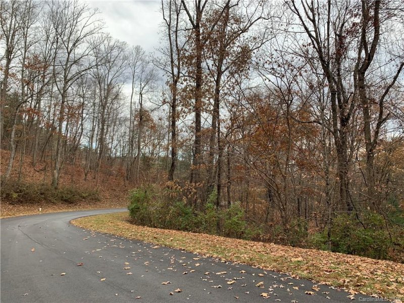 Property image 3 at 197 Starling Pass, Asheville, NC 28804