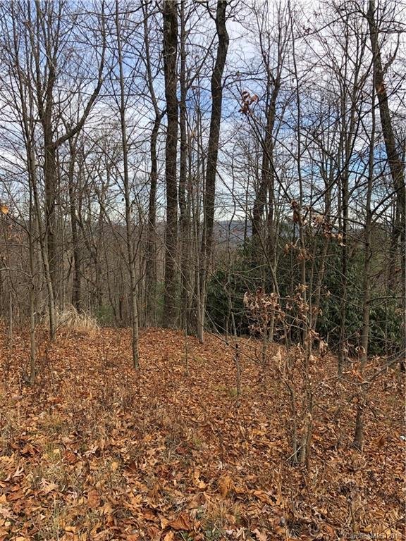 Property image 2 at 151 Wetherbee Lane, Rosman, NC 28772