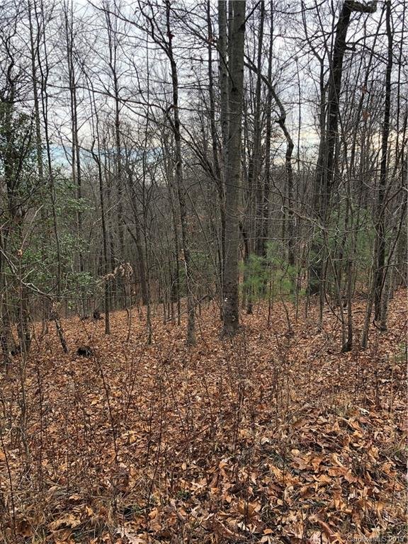 Property image 3 at 151 Wetherbee Lane, Rosman, NC 28772