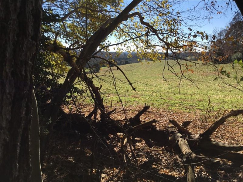 2085 Piper Ridge Drive