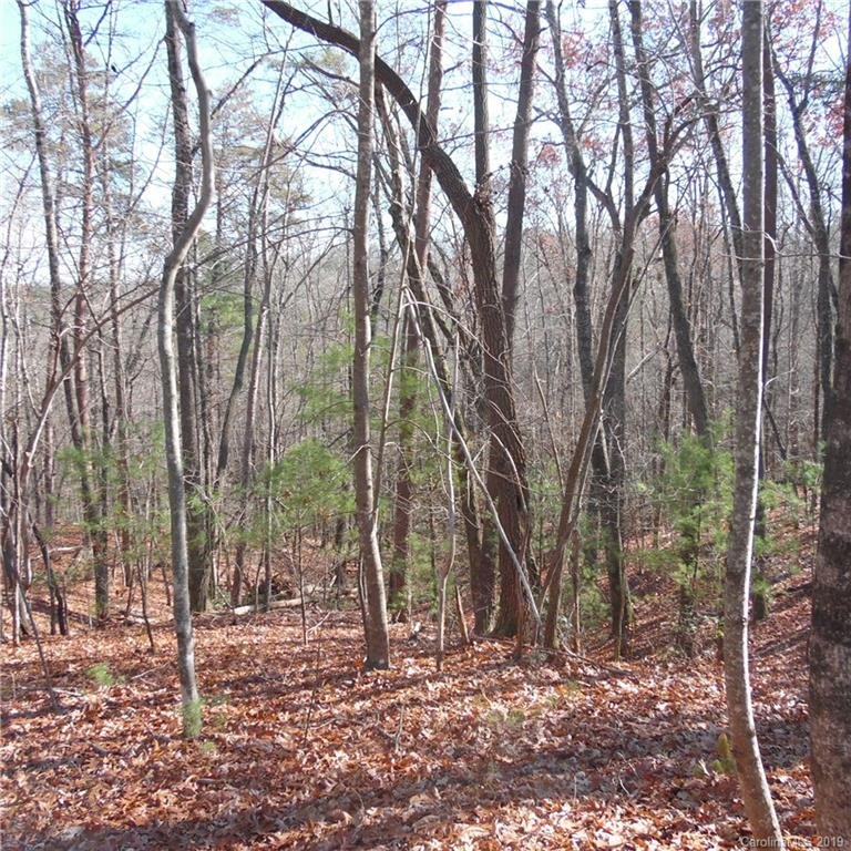 Property image 4 at 24 Jamesview Road, Marion, NC 28752