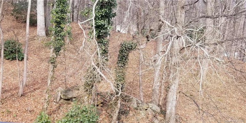 Property image 3 at 134 Stoney Ridge Loop, Maggie Valley, NC 28751