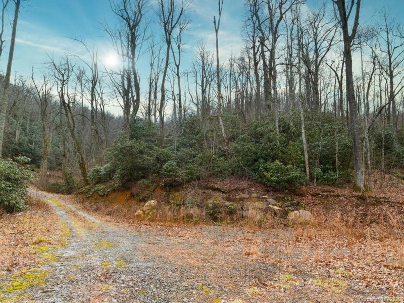 Tbd Pheasant Hollow Drive