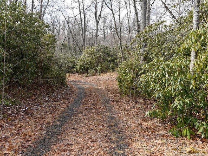 Property image 3 at Tbd Pheasant Hollow Drive, Black Mountain, NC 28711