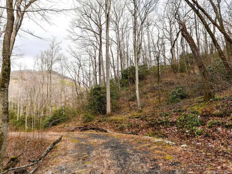 Property image 4 at Tbd Pheasant Hollow Drive, Black Mountain, NC 28711