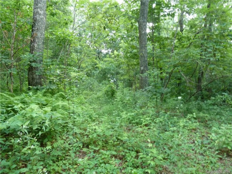 Property image 2 at 2 N Pointe Drive, Zirconia, NC 28790