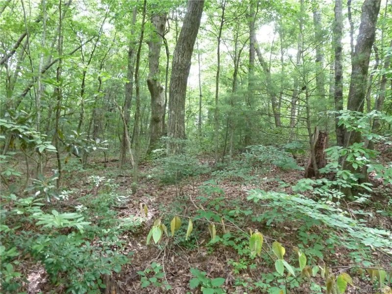 Property image 3 at 2 N Pointe Drive, Zirconia, NC 28790