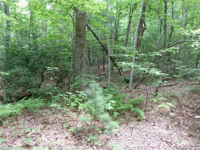 Property image 5 at 2 N Pointe Drive, Zirconia, NC 28790