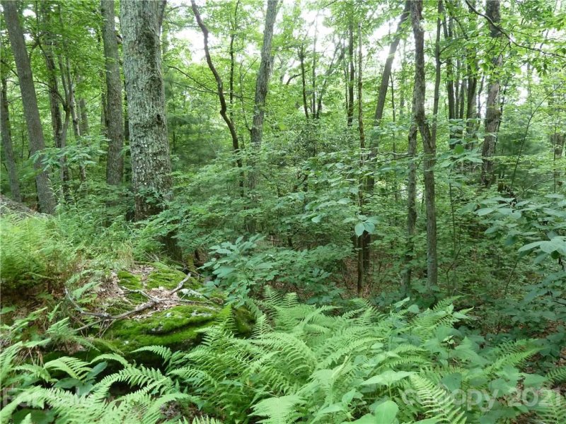 Property image 2 at 3 N Pointe Drive, Zirconia, NC 28790