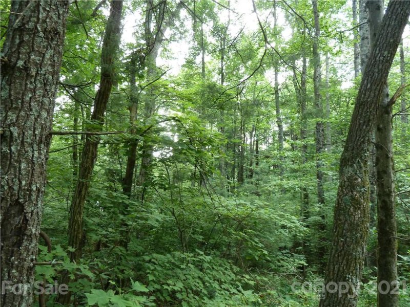 Property image 4 at 3 N Pointe Drive, Zirconia, NC 28790