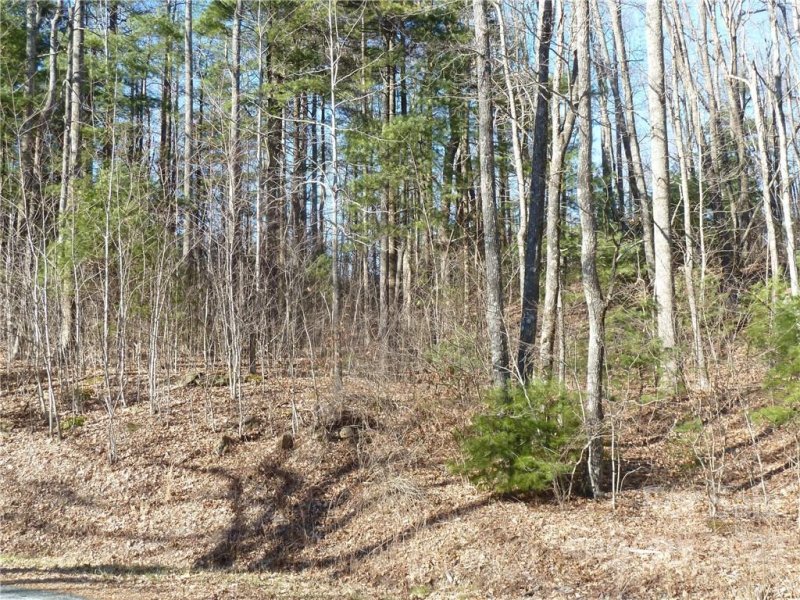 Property image 3 at 5 30 N Pointe Drive, Zirconia, NC 28790