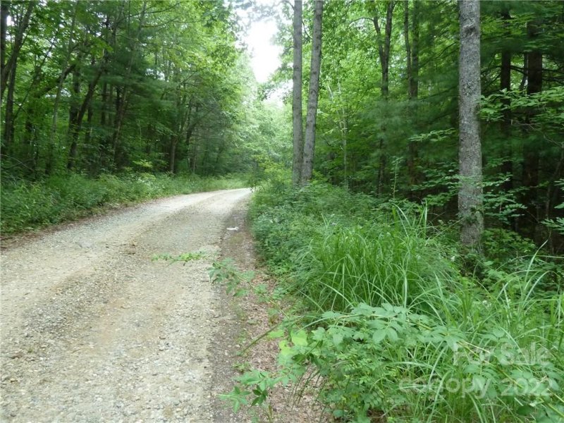 Property image 5 at 5 30 N Pointe Drive, Zirconia, NC 28790