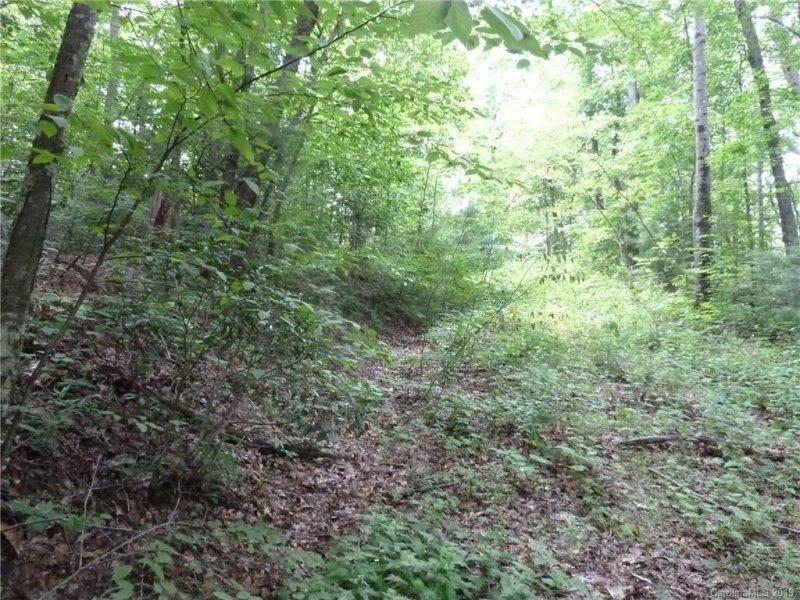 Property image 5 at 49 Dakota Springs Loop, Zirconia, NC 28790