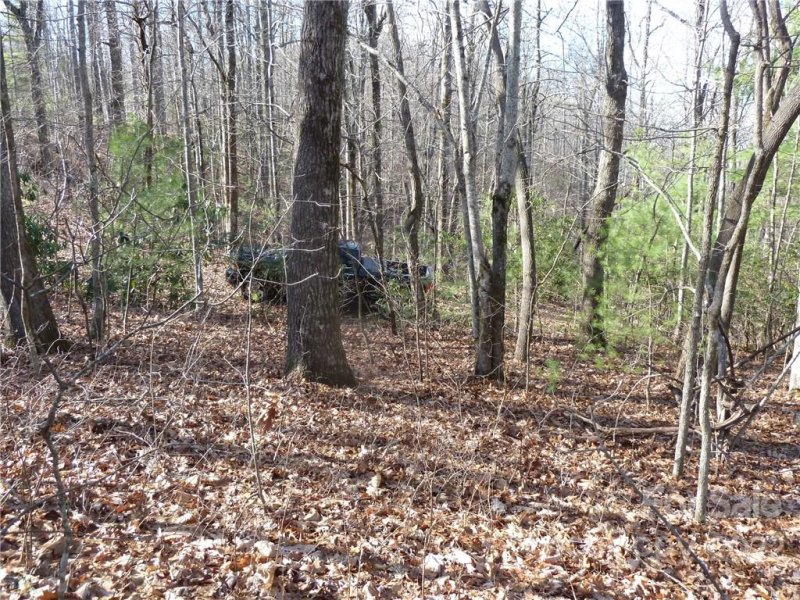 Property image 3 at 50 N Pointe Drive, Zirconia, NC 28790