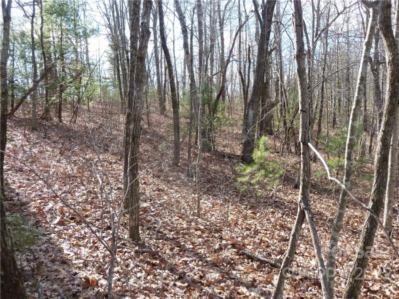 Property image 4 at 50 N Pointe Drive, Zirconia, NC 28790