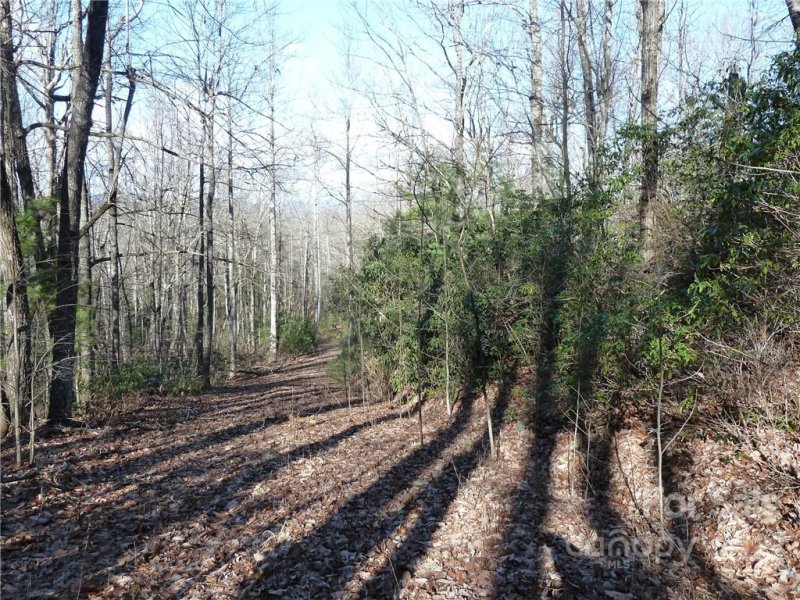 Property image 5 at 50 N Pointe Drive, Zirconia, NC 28790