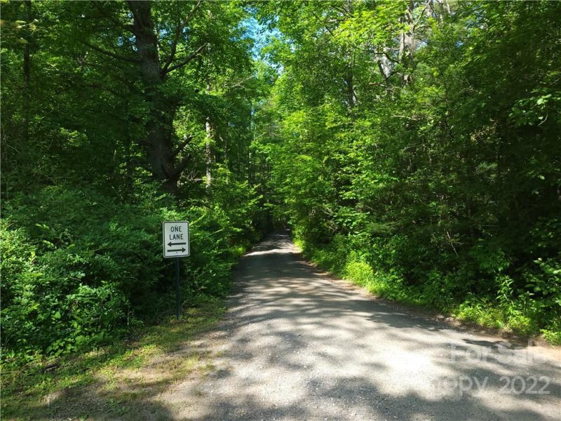 Property image 3 at L302 Lynn Crest Drive, Brevard, NC 28712